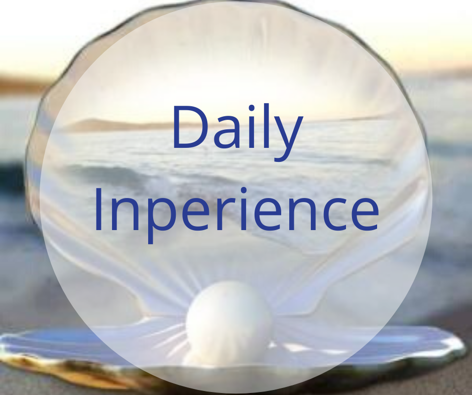 Daily Inperience