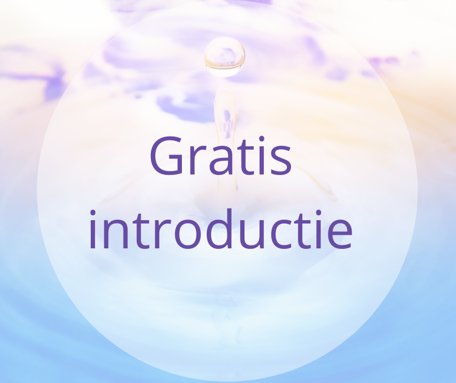 Gratis introductie Moderne Mysterieschool